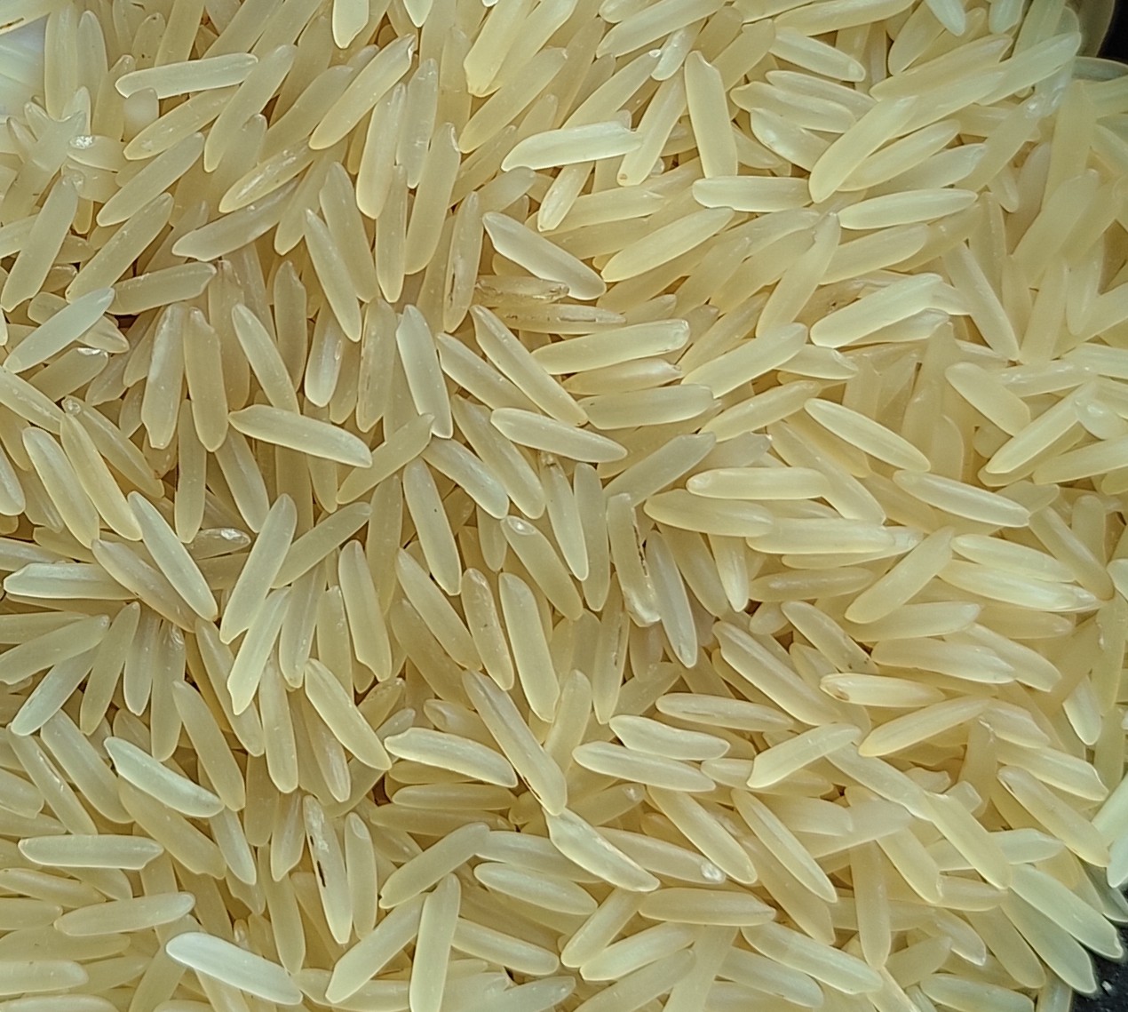 Golden Sella Basmati Rice