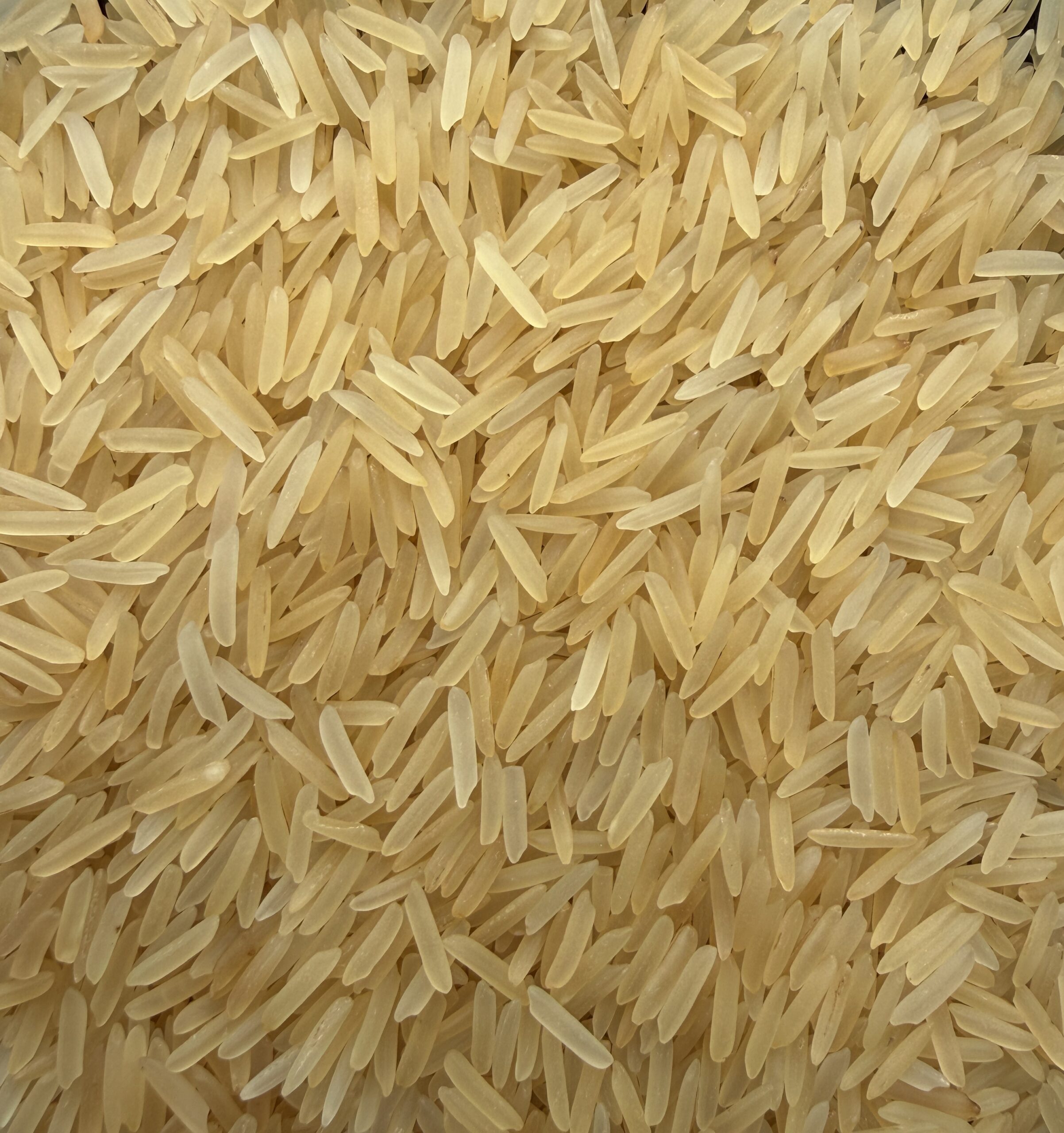 Golden Sella Basmati Rice