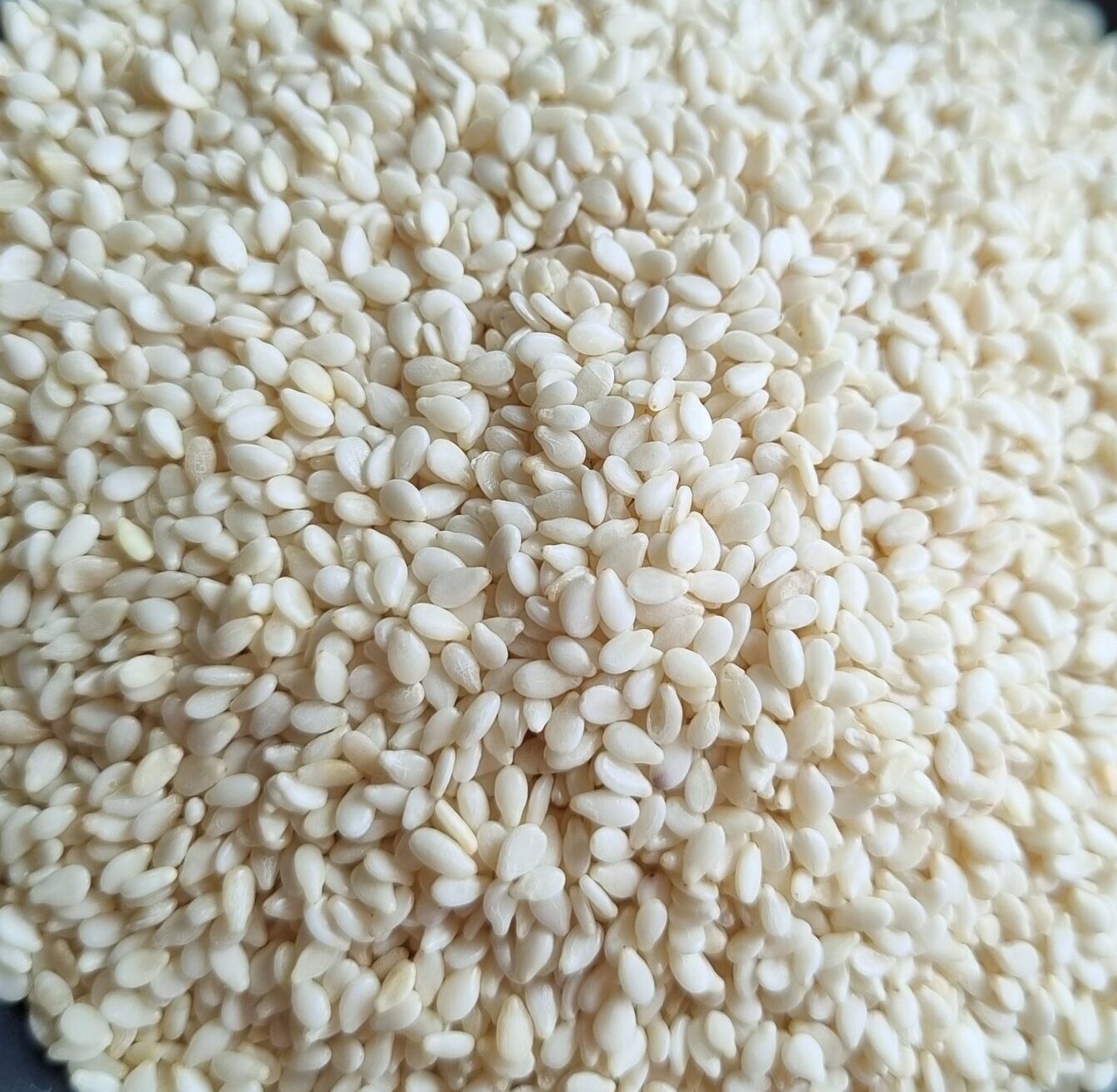 Hulled Sesame Seeds