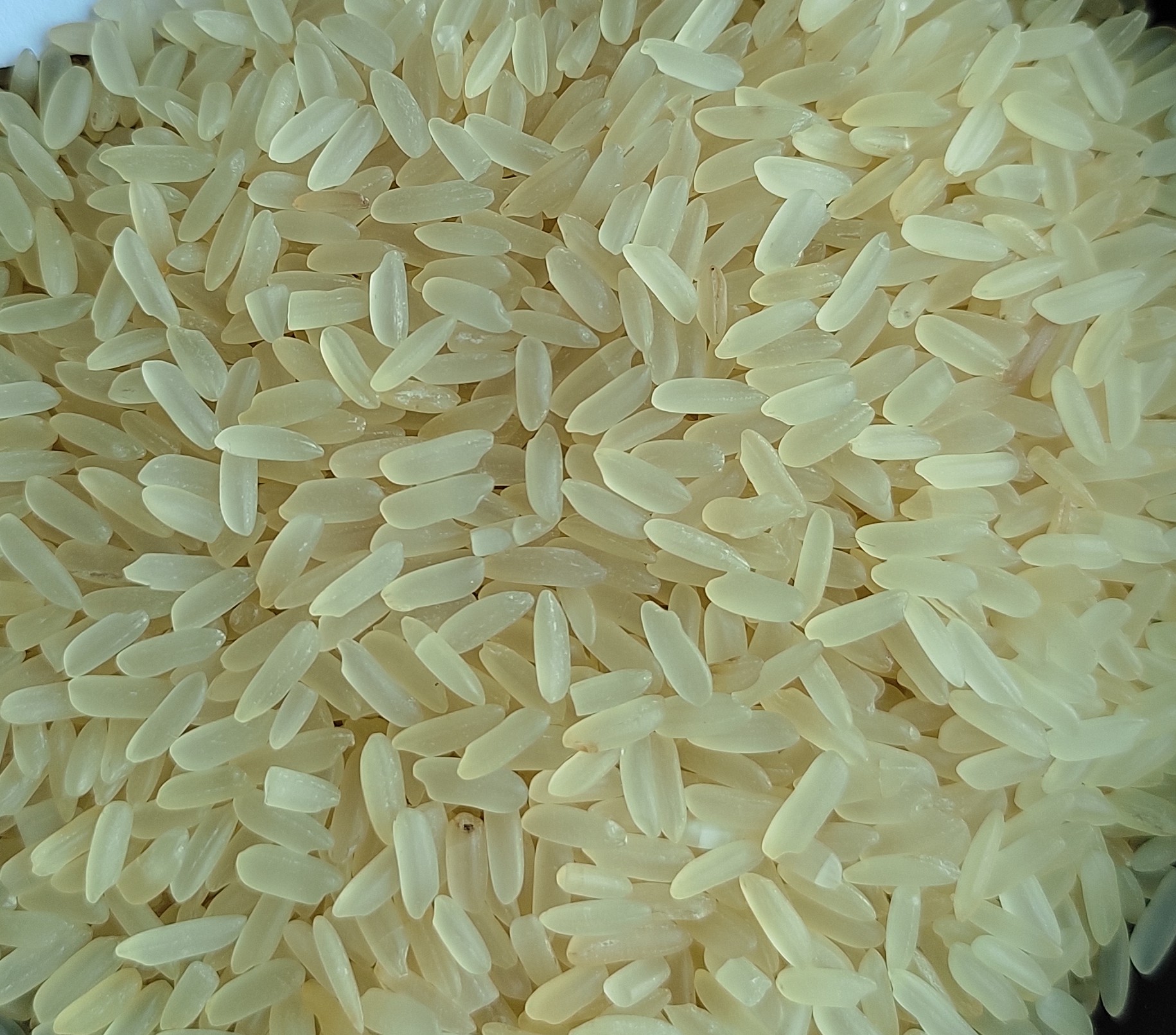 White Sella Basmati Rice