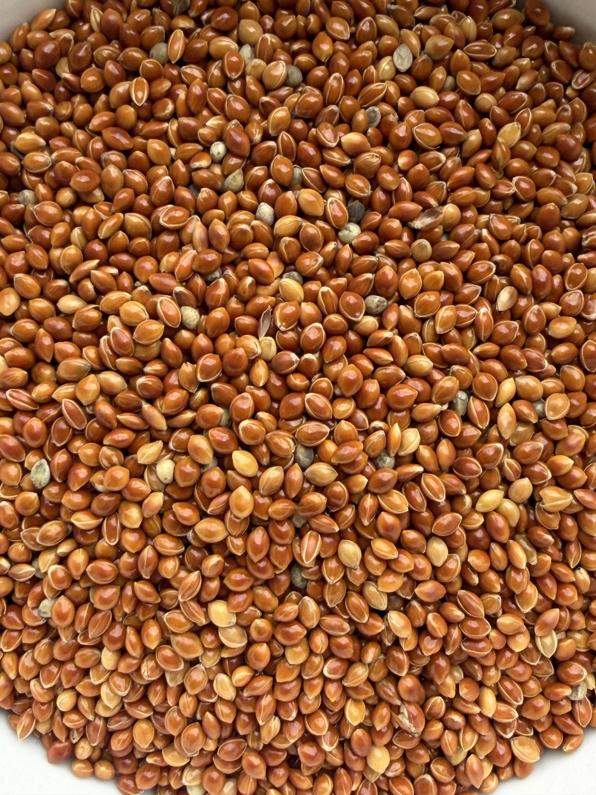 Pure Basmati Rice