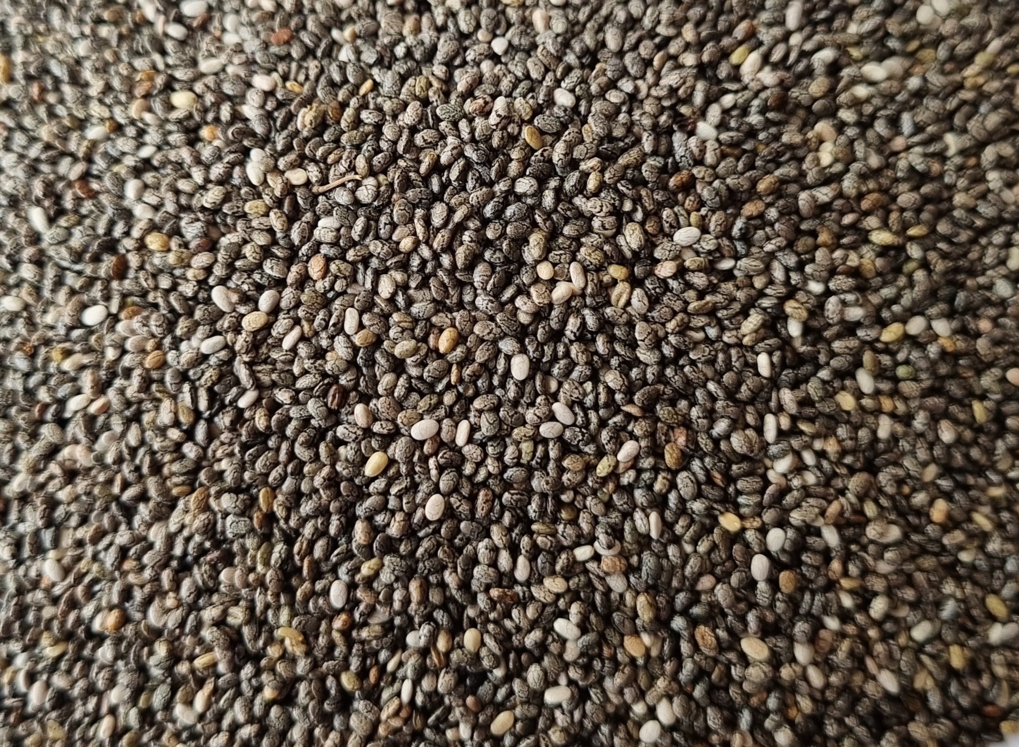 Chia Seeds