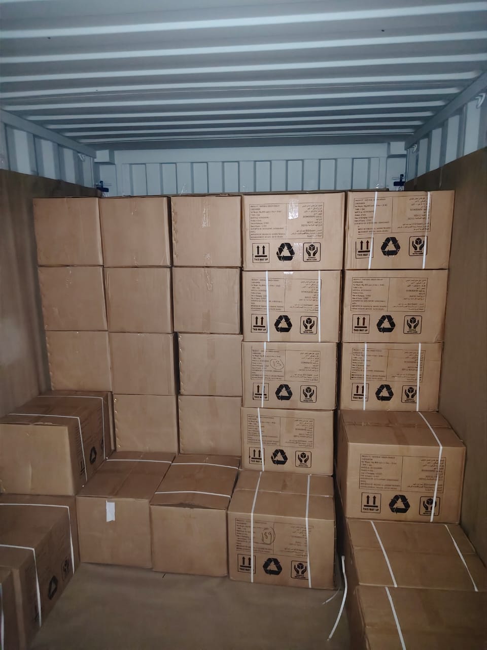 Cargo Container