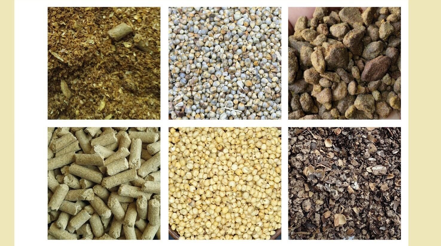 Animal Feed