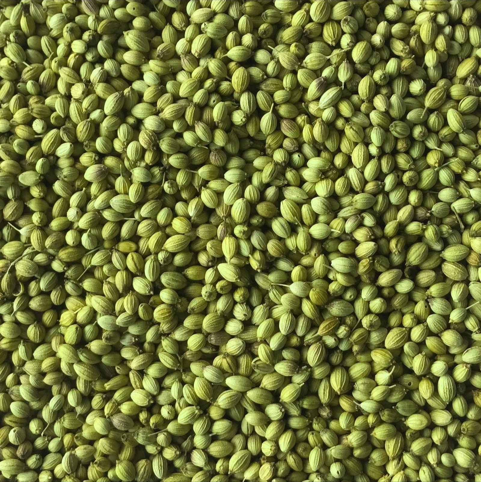 Steam Basmati Rice