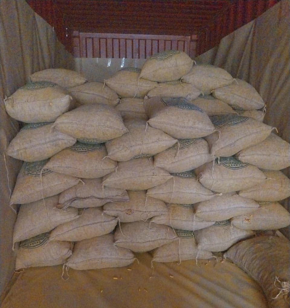 Export Shipment