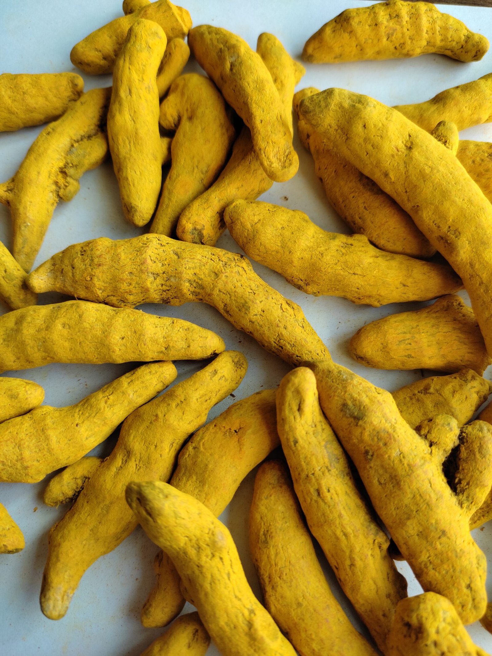 Turmeric
