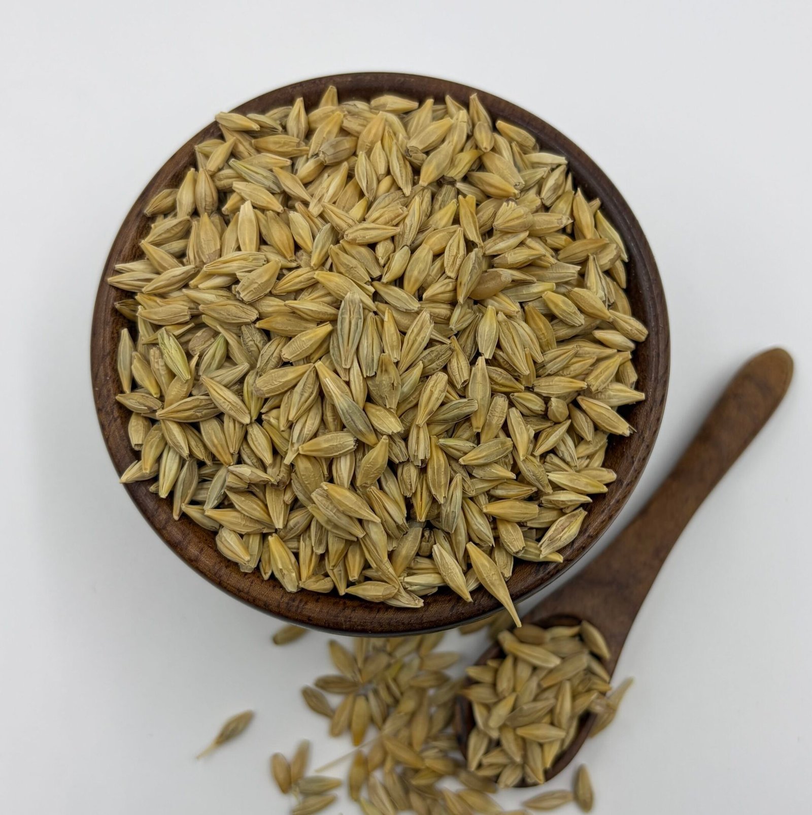 Barley
