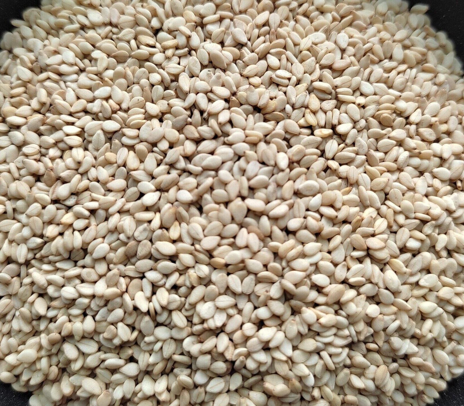 White Sella Basmati Rice