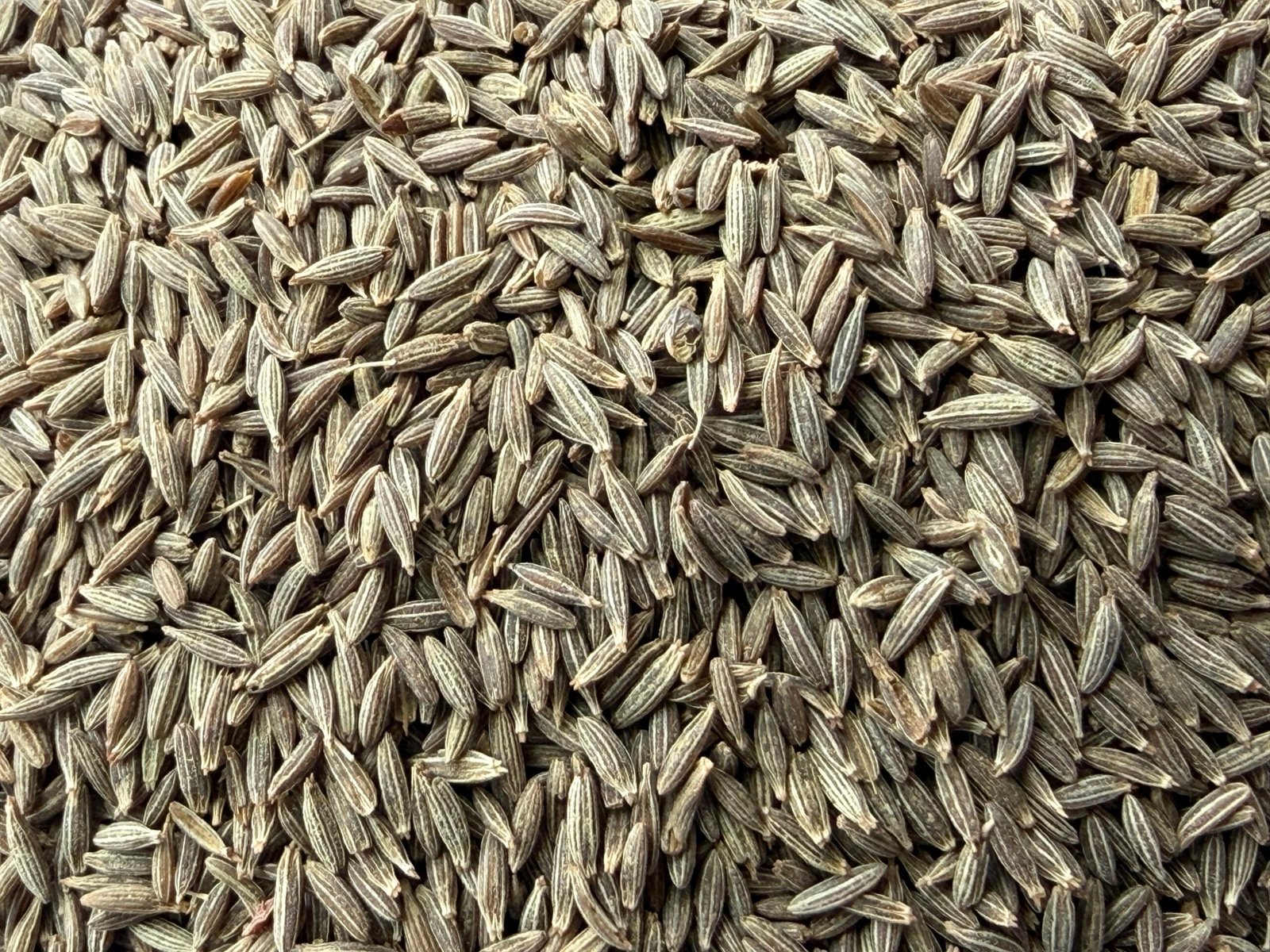 Non Basmati Rice