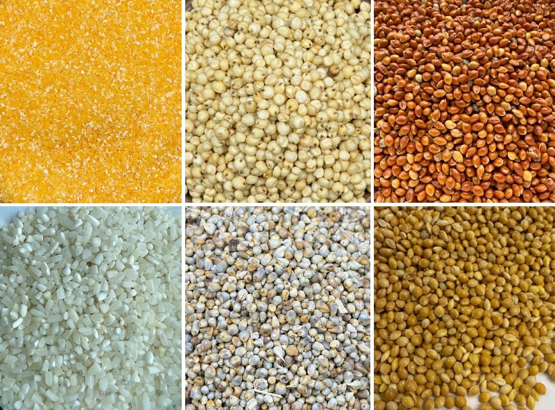 Animal Feed