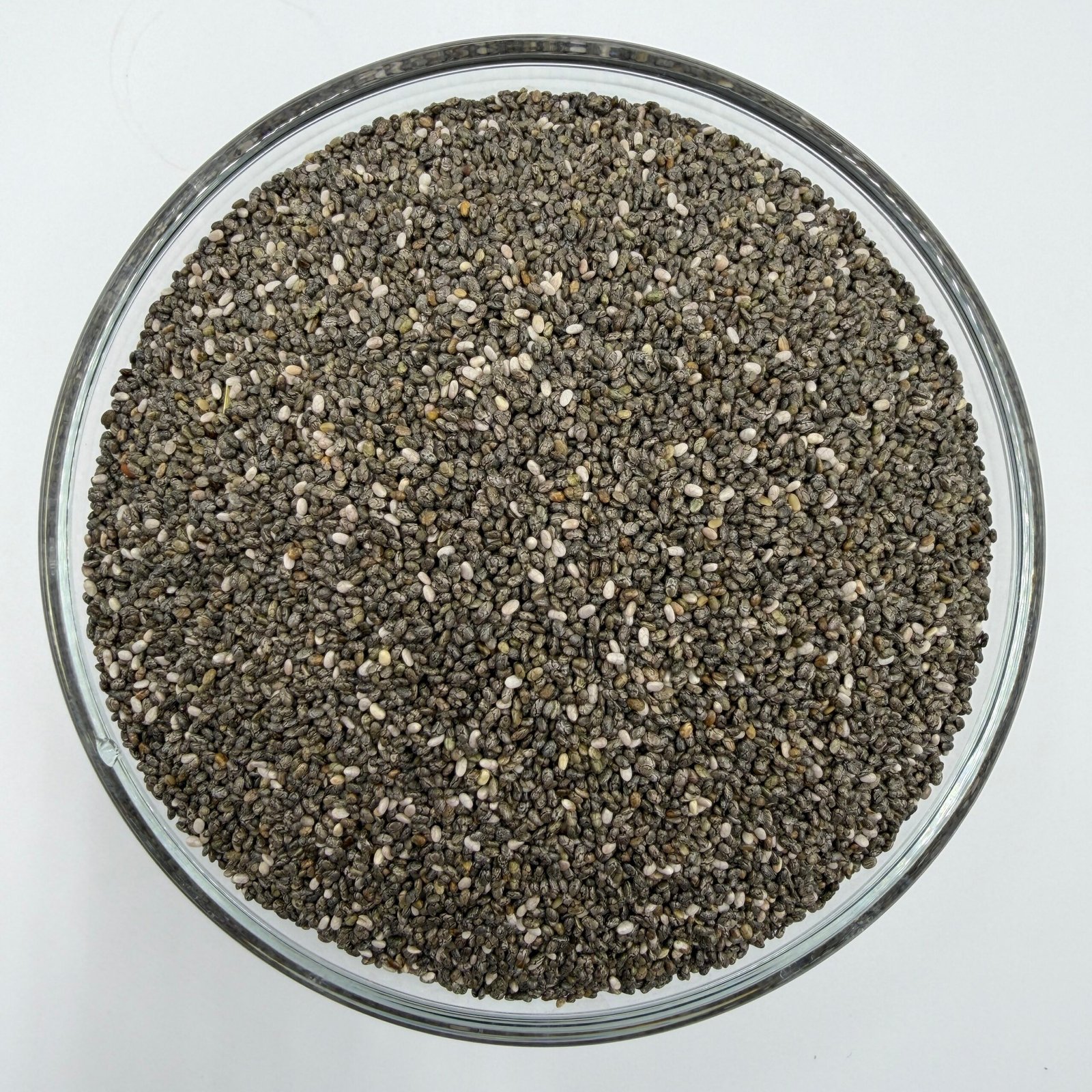 Yellow Maize Supplier from India