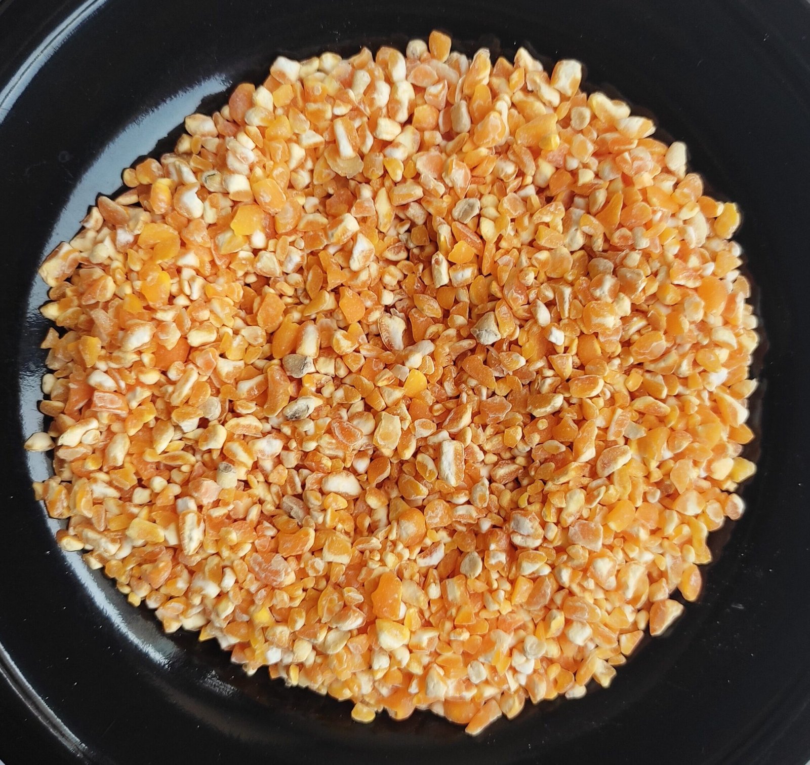 Green Millet Supplier from India