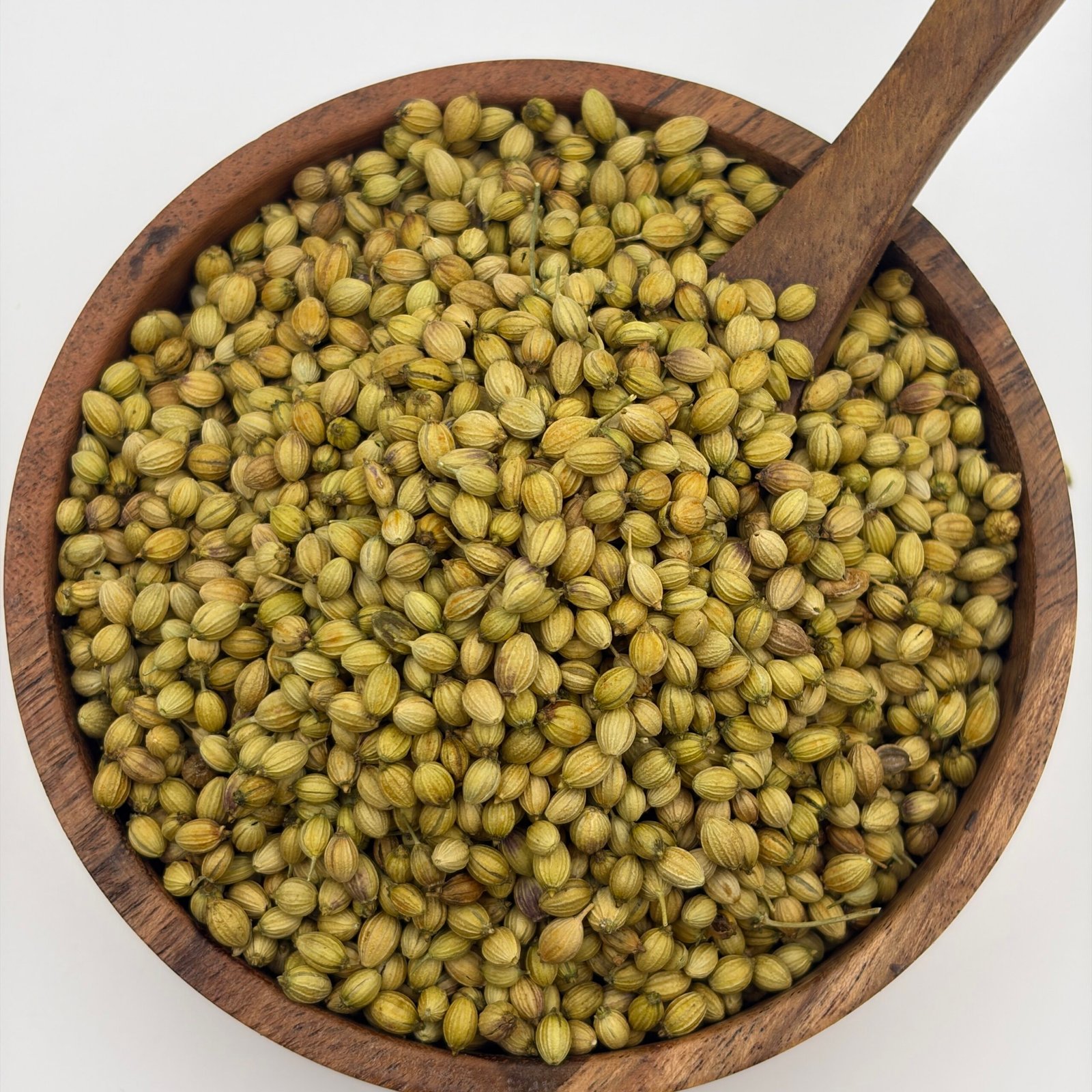 Double Parrot Quality Coriander