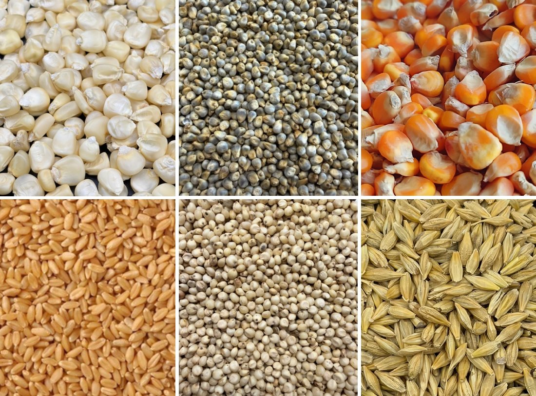 Grains
