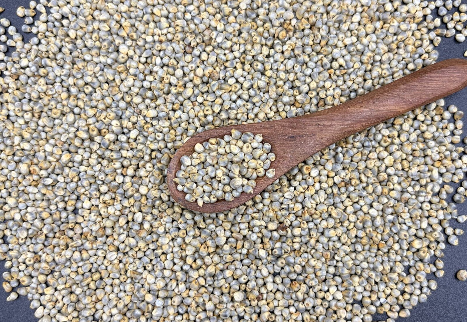 Green Millet Supplier and Exporter from India - Eco Export