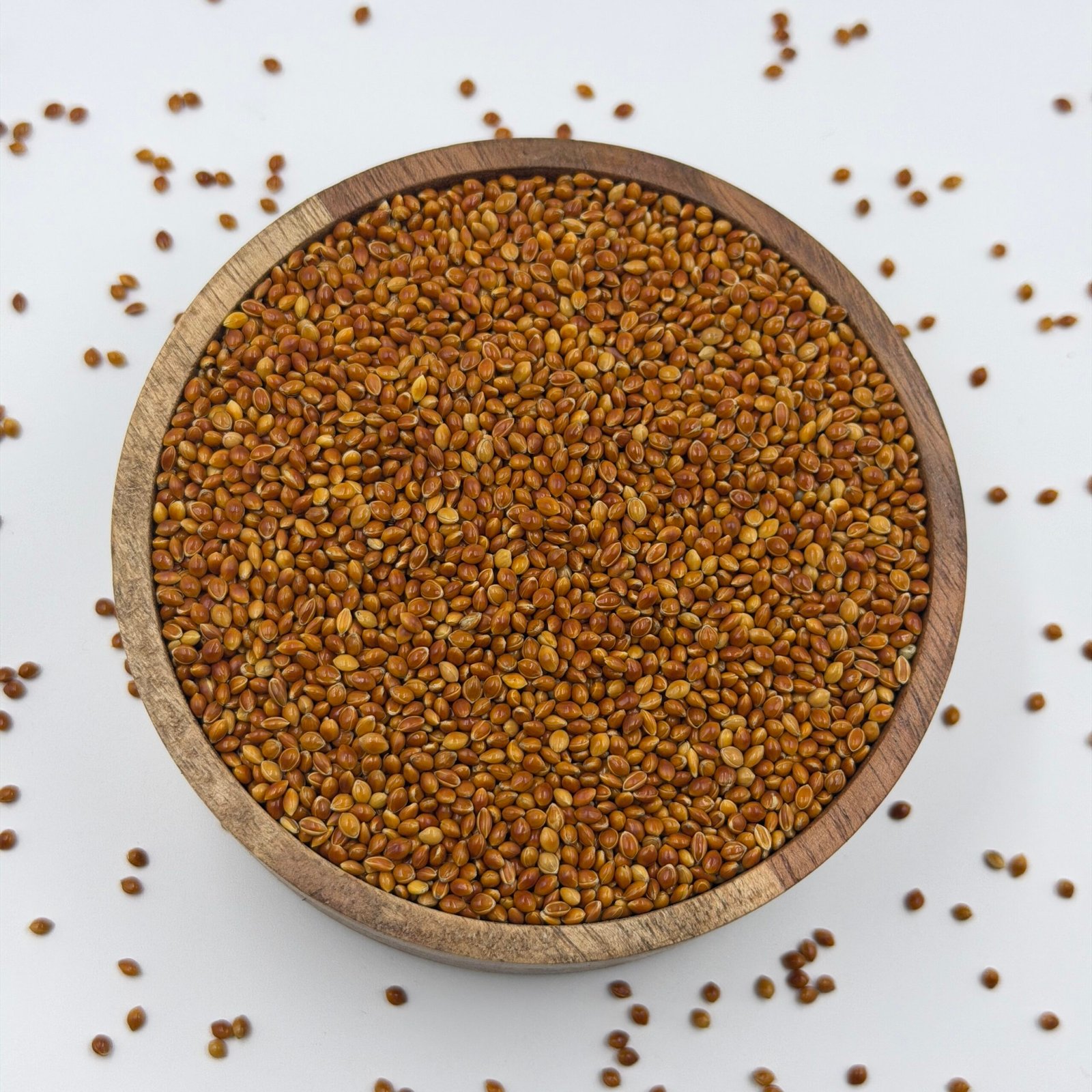 WhiteSorghum