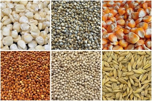 Grains
