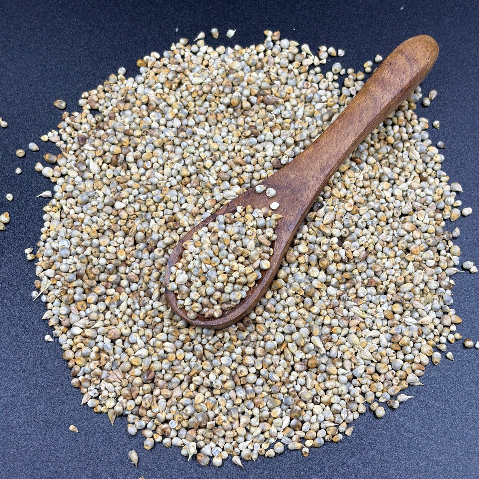 Barley Supplier from India